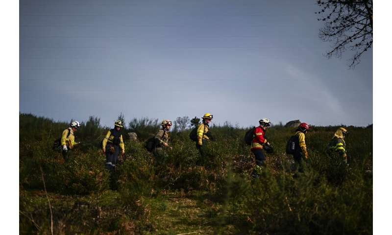 A deadly wildfire burned through Portugese hills covered in pine and eucalyptus trees in 2017