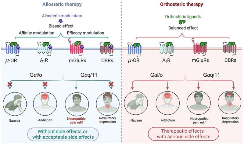 Allosteric modulation of G-protein-coupled receptors as a novel therapeutic strategy in neuropathic pain