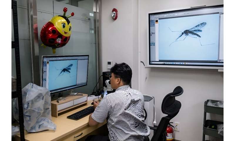 As mosquito populations increase, more malaria carriers are 'feeding on soldiers in the border region, leading to a continuous occurrence of malaria cases there', expert Kim Dong-gun says