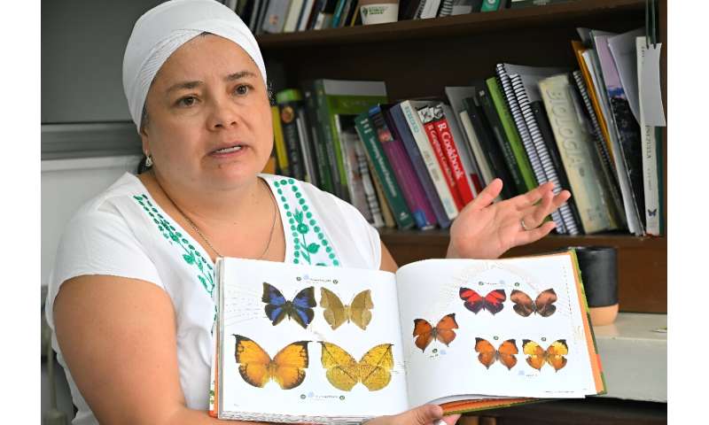 Biologist Maria Fernanda Checa says butterfly numbers in the Cuyabeno Wildlife Reserve are dropping
