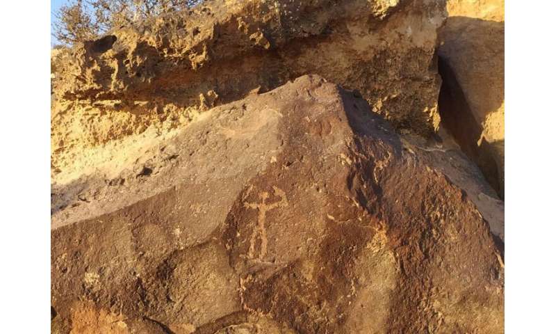 Desert-loving fungi and lichens pose deadly threat to 5,000-year-old rock art