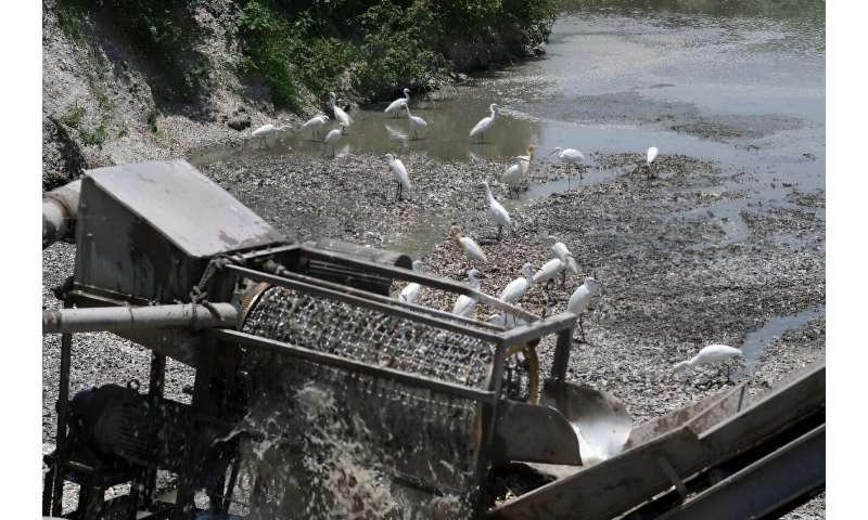 Egrets wait for food from an oyster shells washing machine outside Gijin Seafood Factory