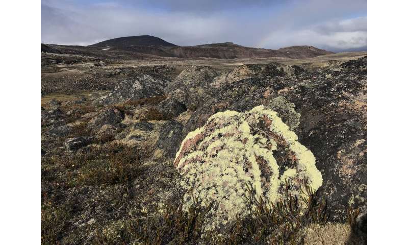 Exploring arctic plants and lichens: An important conservation baseline for Nunavut's newest and largest territorial park