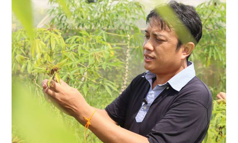 De Colombia a Laos: protegiendo los cultivos mediante la nanotecnología