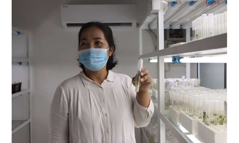 From Colombia to Laos: protecting crops through nanotechnology