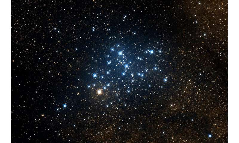 Galactic bloodlines: Many nearby star clusters originate from only three "families"