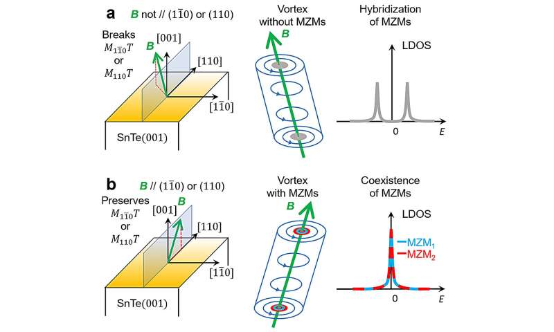 HKUST and SJTU physics researchers identify new multiple Majorana zero modes in superconducting SnTe