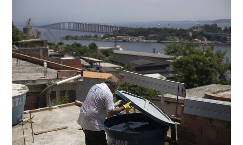 In Rio, rife with dengue, bacteria-infected mosquitoes are making a difference