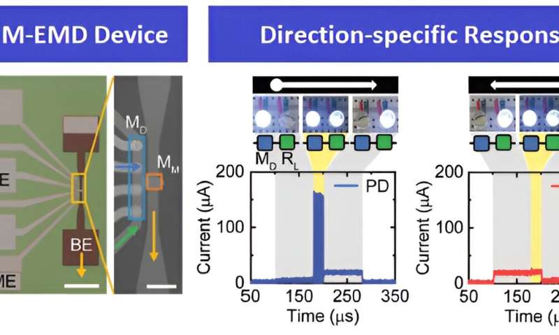 Insect-mimicking semiconductor to detect motion