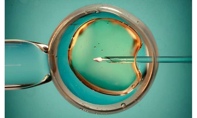 Intracytoplasmic sperm injection does not help increase live births