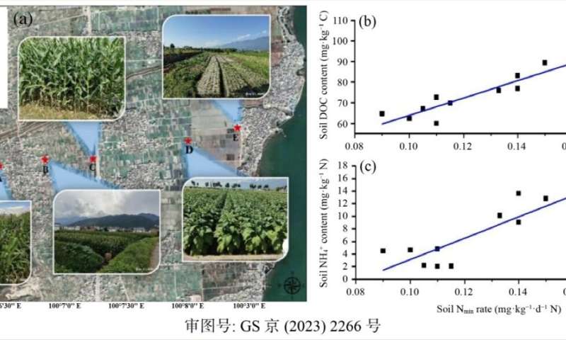 Is soil nitrogen mineralization important in agricultural intensive areas?