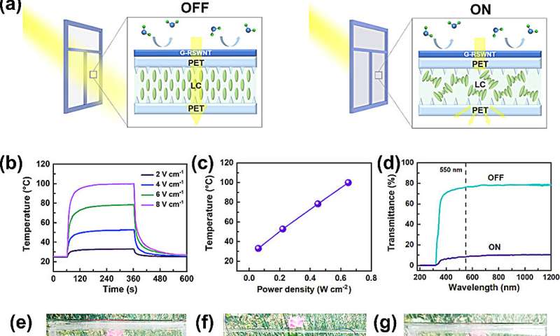 Large-area preparation of flexible carbon nanofilms with synergistically enhance transmittance and conductivity
