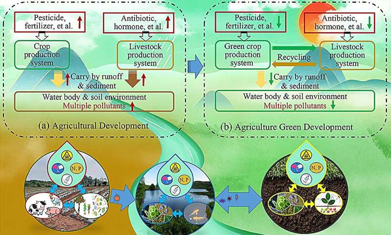 Multiple pollutants from crop and livestock production in the Yangtze River: status and challenges
