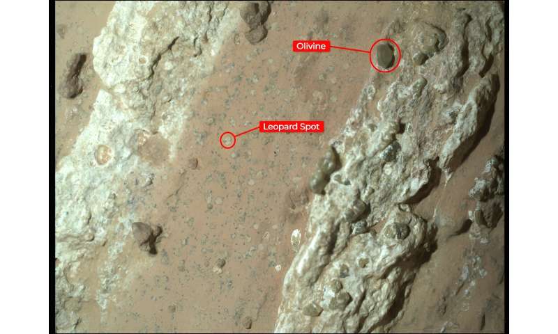 NASA’s Perseverance Rover Scientists Find Intriguing Mars Rock