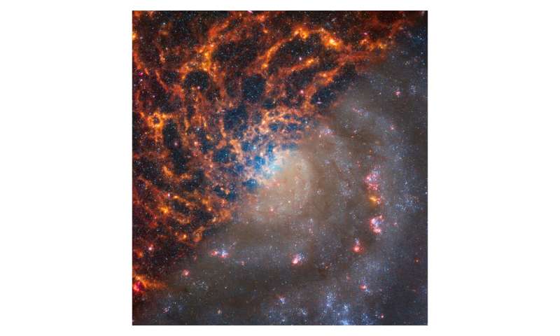NASA's Webb depicts staggering structure in 19 nearby spiral galaxies