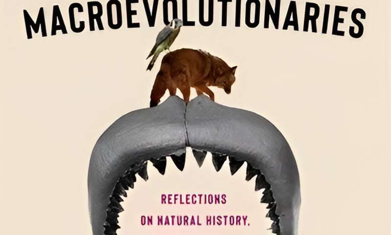 New book 'Macroevolutionaries' explores intersection of evolution, art and popular culture