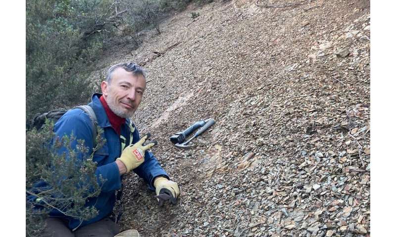 Descubren un nuevo yacimiento de fósiles de importancia mundial en el sur de Francia