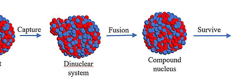 New fusion reactions could lead to long-lasting superheavy nuclei with unique properties