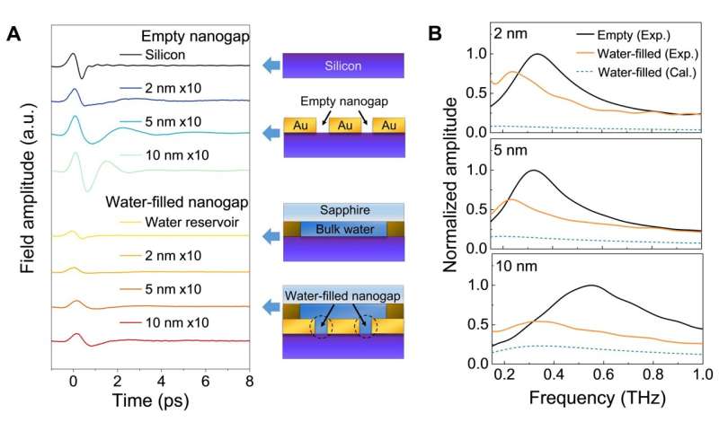 New research reveals terahertz waves' impact on dynamics of nanoconfined water molecules
