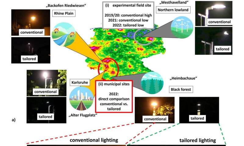 New road lights, fewer dead insects—insect-friendly lighting successfully tested