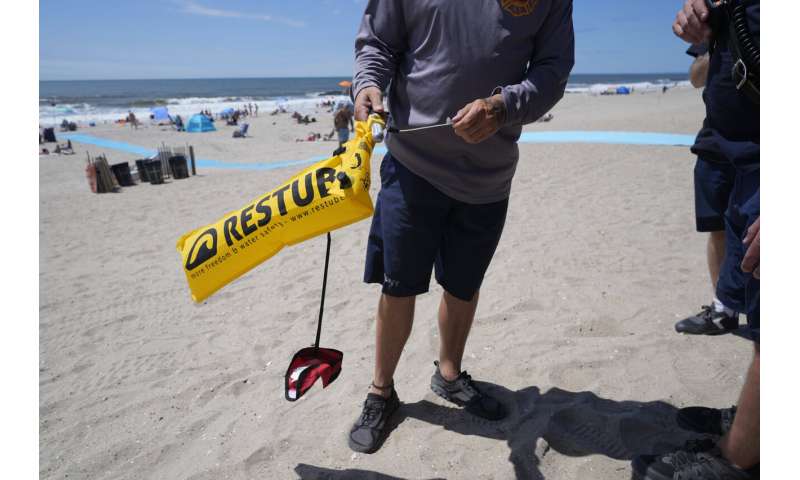 On NYC beaches, angry birds are fighting drones on patrol for sharks and swimmers