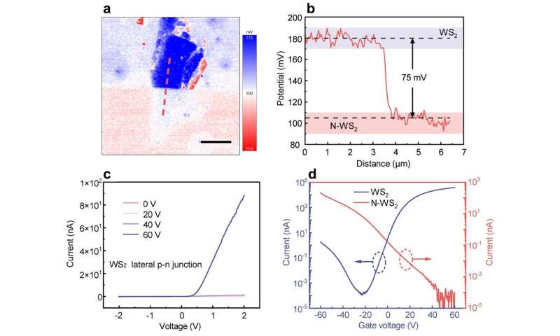 Patterned doping for constructing 2D lateral p-n junction via ion implantation