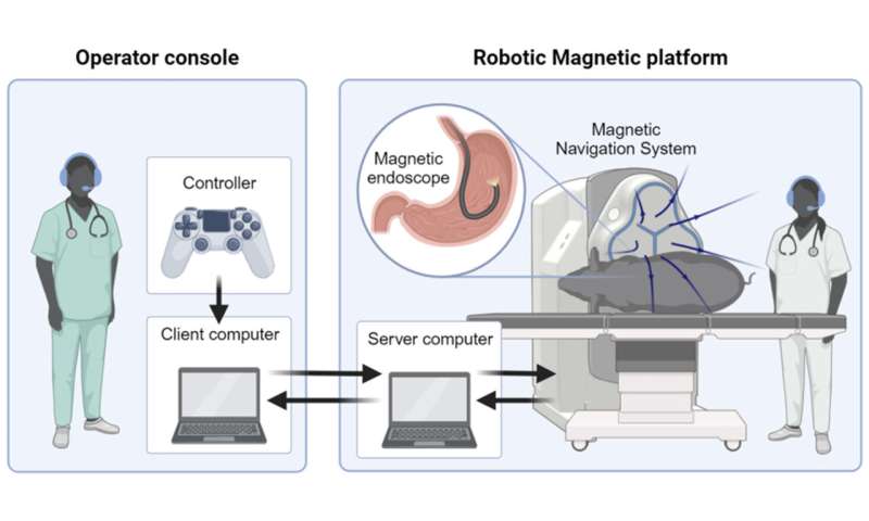 Researchers perform remote magnetic endoscopy on a live pig from 9,300 km away