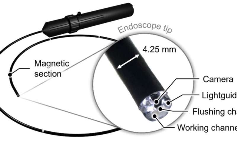 Researchers perform remote magnetic endoscopy on a live pig from 9,300 km away