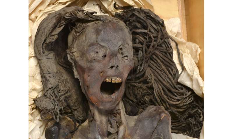 'Screaming Woman' mummy may have died in agony 3,500 years ago