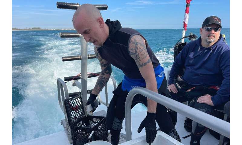 Shark diving guide Jonathan Campbell prepares bait known as chum to be submerged in the water off Florida's coast in order to attract sharks