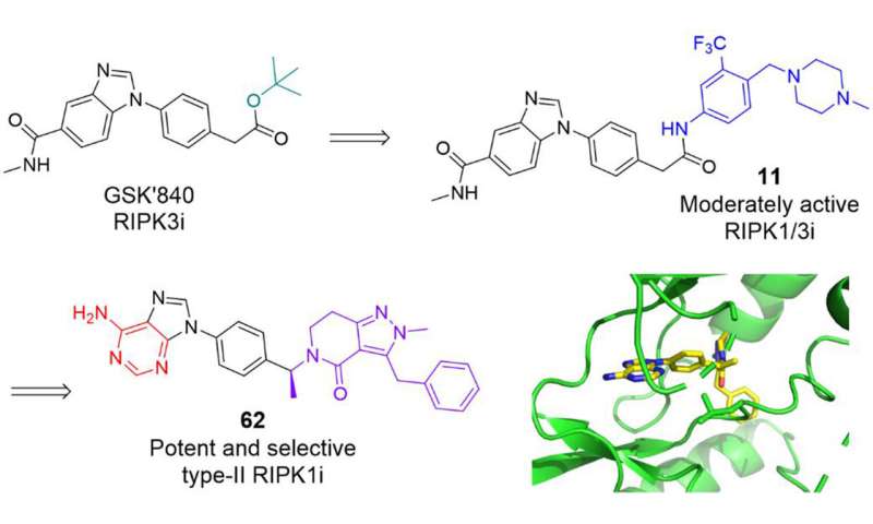 Structure-based development of potent and selective type-II kinase inhibitors of RIPK1