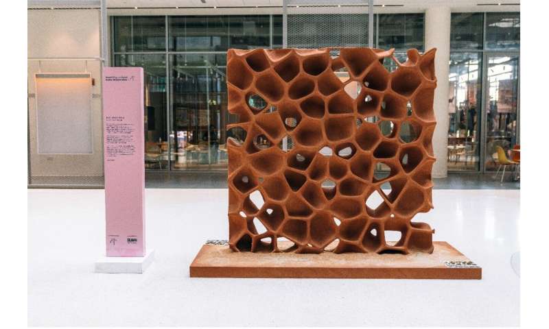 Students show off eco-friendly sand wall design