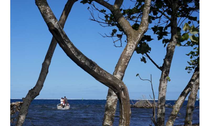 Tahiti's rahui tradition has helped revive ecosystems — including near the Olympics surfing venue