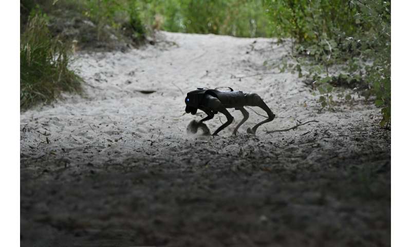 The robot dogs can operate for up to two hours