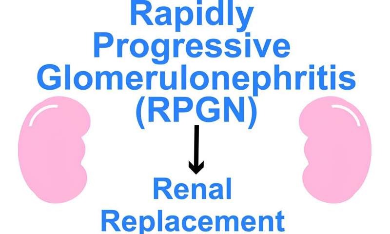 Trends in the incidence of renal replacement therapy due to rapidly progressive glomerulonephritis in Japan, 2006–2021