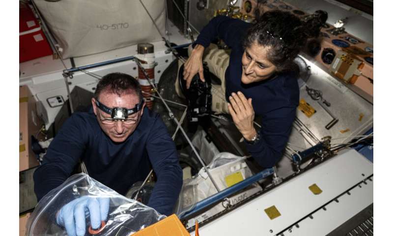 Two NASA astronauts stuck in space have flown long missions before