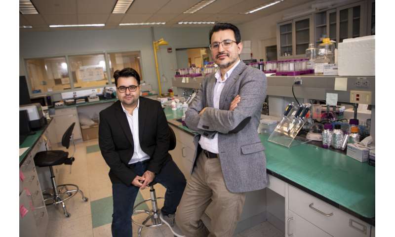 UAlbany scientists receive funding to develop color-changing salmonella detection kit