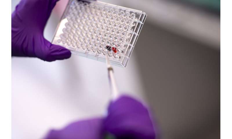 UAlbany scientists receive funding to develop color-changing salmonella detection kit