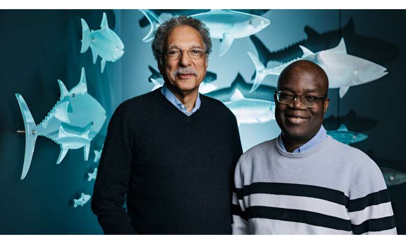 UBC researchers launch Africa-UBC Oceans & Fisheries Visiting Fellows Program