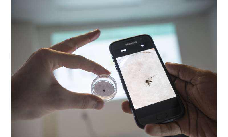 University of South Florida using AI to help combat malaria in Africa