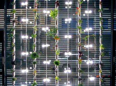 Windowfarms Unveils New Garden Kits That Grow Up To 32 Plants Per