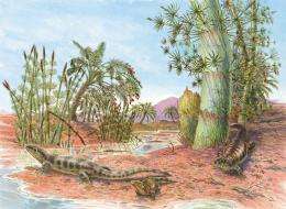 Ancient reptiles 'make tracks'