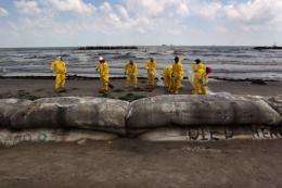 A BP cleanup crew removes oil from a beach on May 23, at Port Fourchon, Louisiana