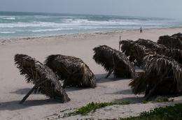 Beach umbrellas are seen in the sand in Cuba