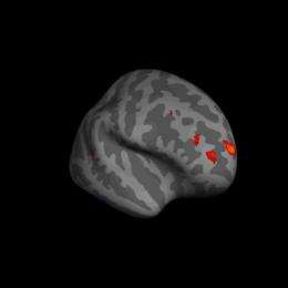 Brain matter linked to introspective thoughts