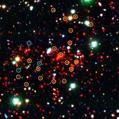 Ghosts of the future: First giant structures of the universe