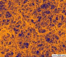 Gold nanoparticles create visible-light catalysis in nanowires