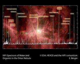 Herschel: The first science highlights