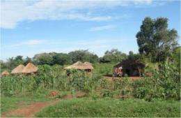 Infant hydrocephalus, seasonal and linked to farm animals in Uganda