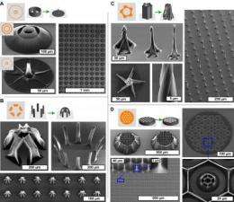 Intricate, curving 3-D nanostructures created using capillary action forces
